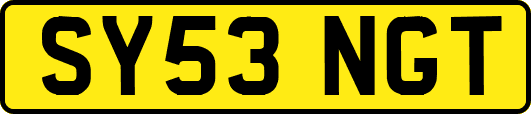 SY53NGT