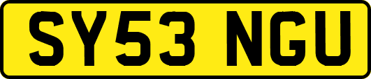SY53NGU