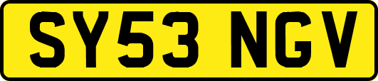 SY53NGV