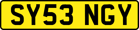 SY53NGY