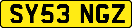 SY53NGZ