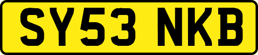 SY53NKB