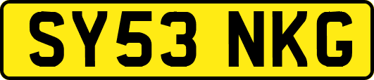 SY53NKG