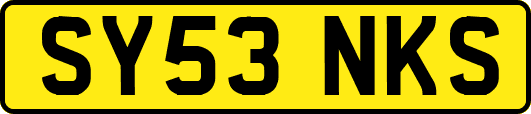 SY53NKS