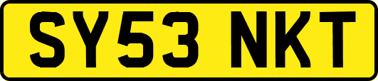 SY53NKT