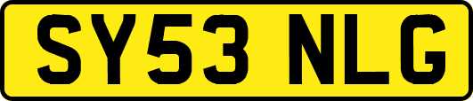SY53NLG