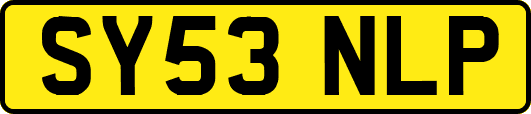 SY53NLP