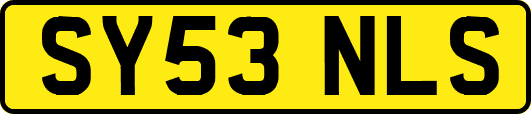 SY53NLS