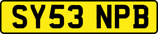 SY53NPB