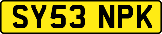 SY53NPK