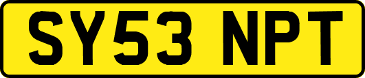 SY53NPT