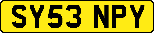 SY53NPY