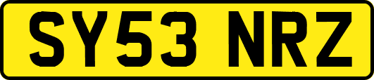 SY53NRZ
