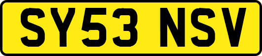 SY53NSV