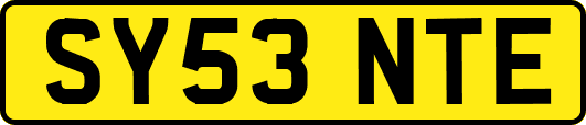SY53NTE