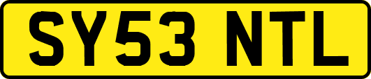 SY53NTL
