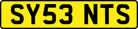 SY53NTS