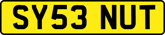 SY53NUT