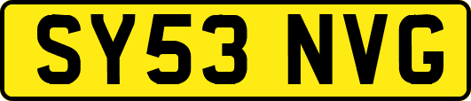 SY53NVG