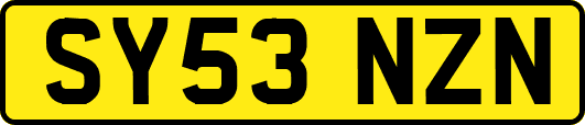 SY53NZN