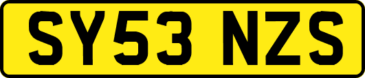 SY53NZS