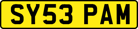 SY53PAM