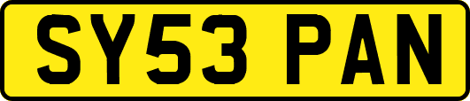 SY53PAN