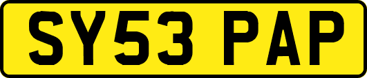 SY53PAP