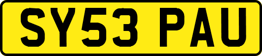 SY53PAU