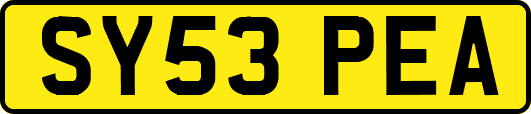 SY53PEA