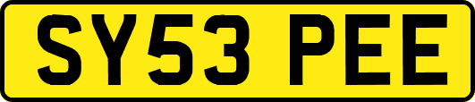SY53PEE
