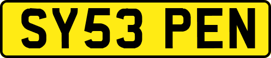 SY53PEN