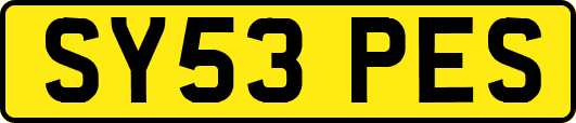 SY53PES