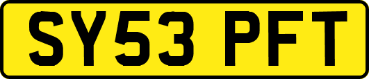 SY53PFT