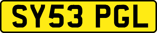 SY53PGL