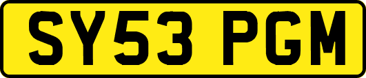 SY53PGM