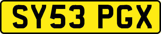 SY53PGX