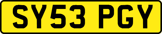 SY53PGY