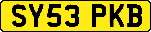 SY53PKB