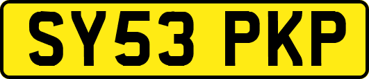 SY53PKP