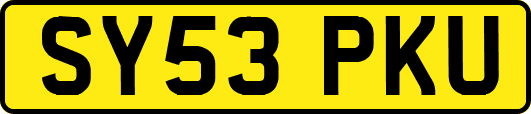 SY53PKU