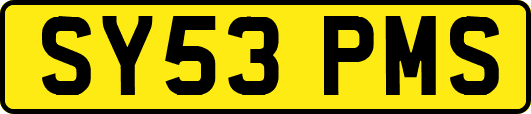 SY53PMS