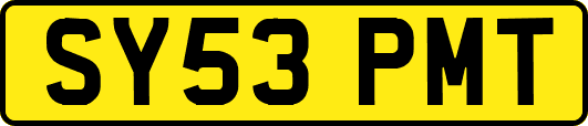 SY53PMT