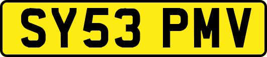 SY53PMV