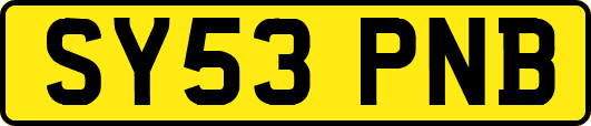 SY53PNB