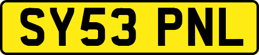 SY53PNL