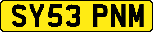 SY53PNM