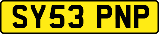 SY53PNP