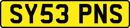 SY53PNS