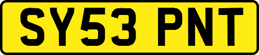 SY53PNT